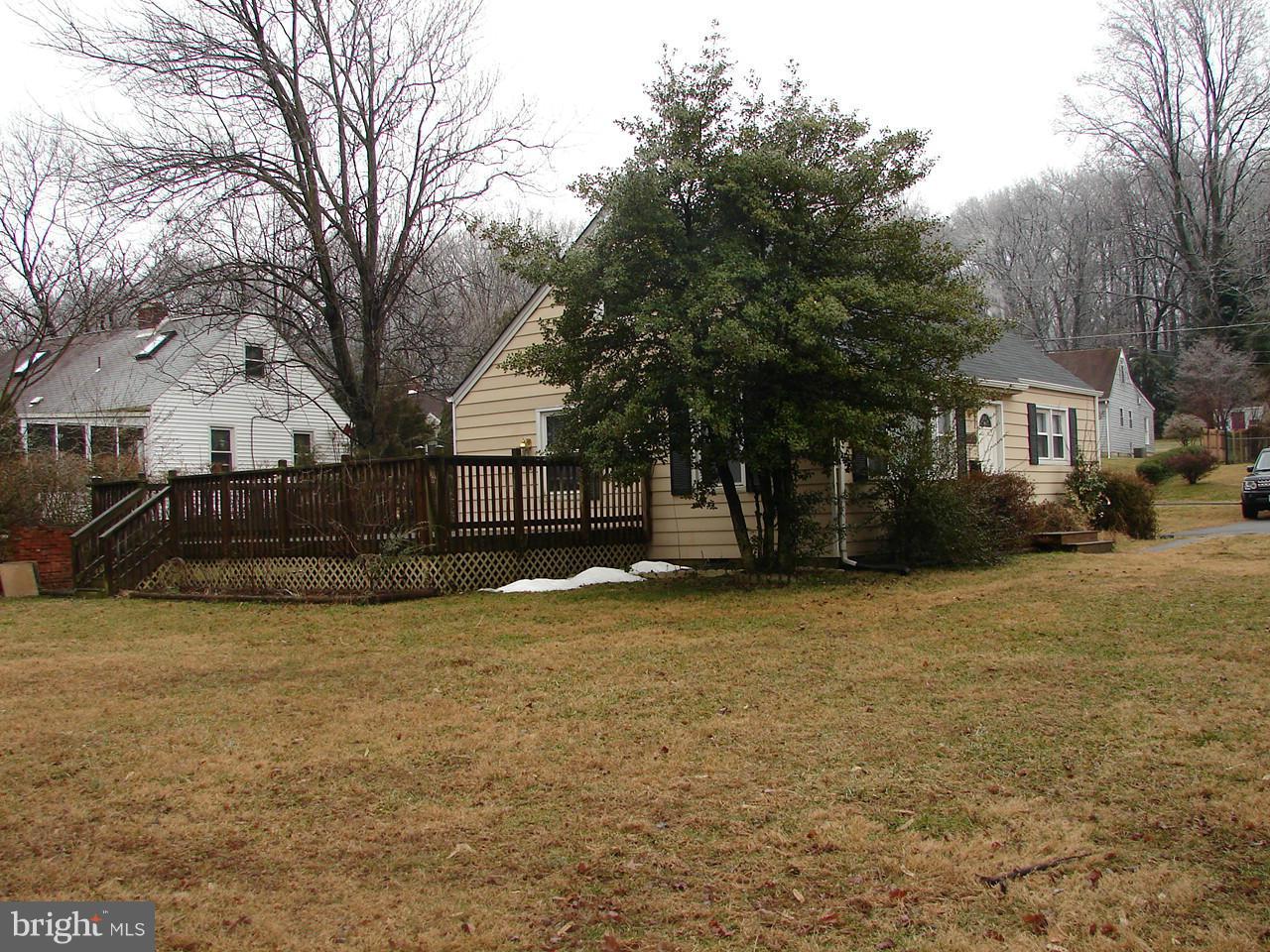 3205 Holloway Road Falls Church, VA 22042 - Photo 26 of 30 a view of road with large trees