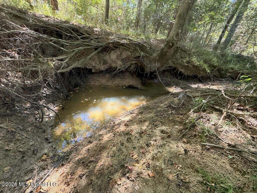 Delaware Avenue McComb, MS 39648 - Photo 6 of 10 20250707200524343159000000-o