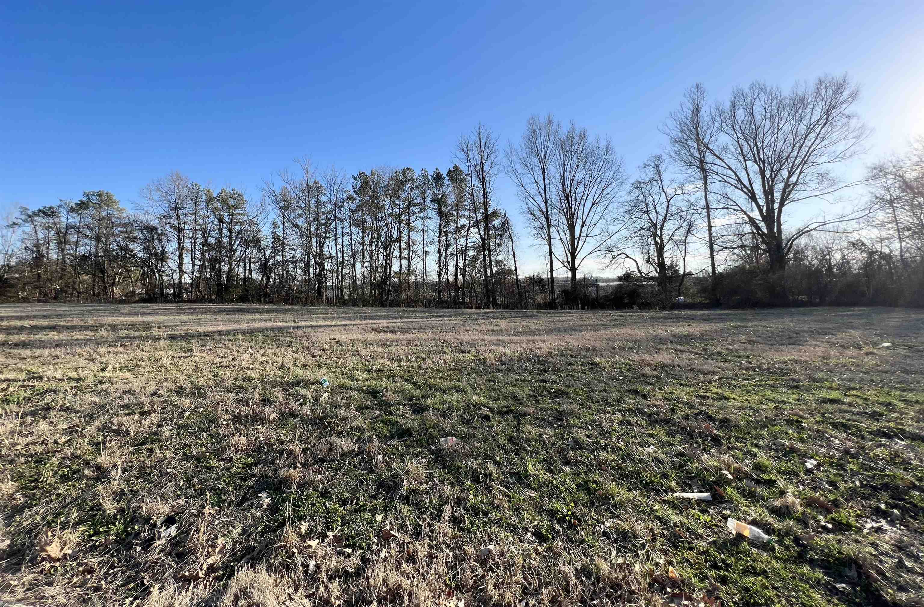 55 York Commons Road Ripley, TN 38063 - Photo 1 of 6 a view of a field with trees in the background