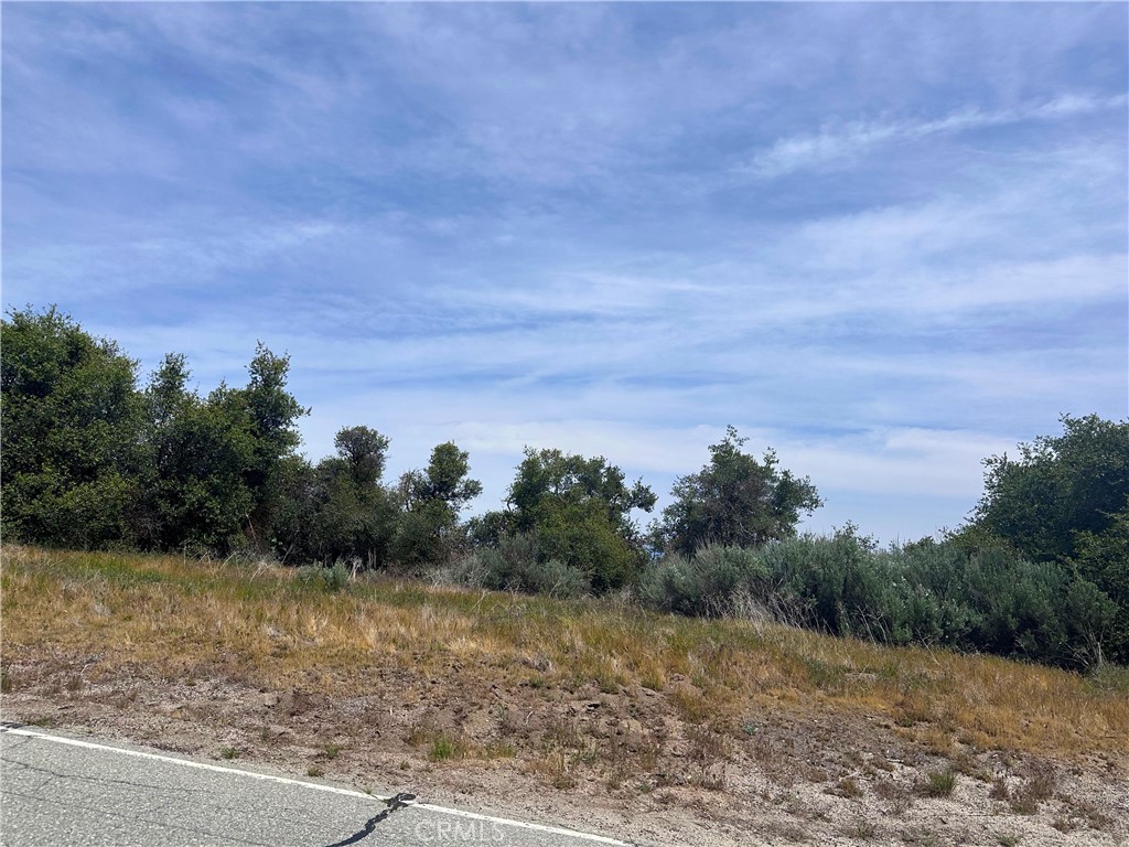 24680 Jacaranda Drive Tehachapi, CA 93561 - Photo 4 of 7
