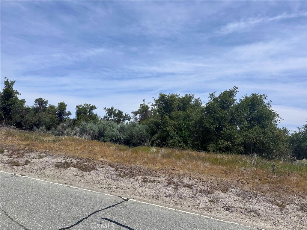 24680 Jacaranda Drive Tehachapi, CA 93561 - Photo 6 of 7