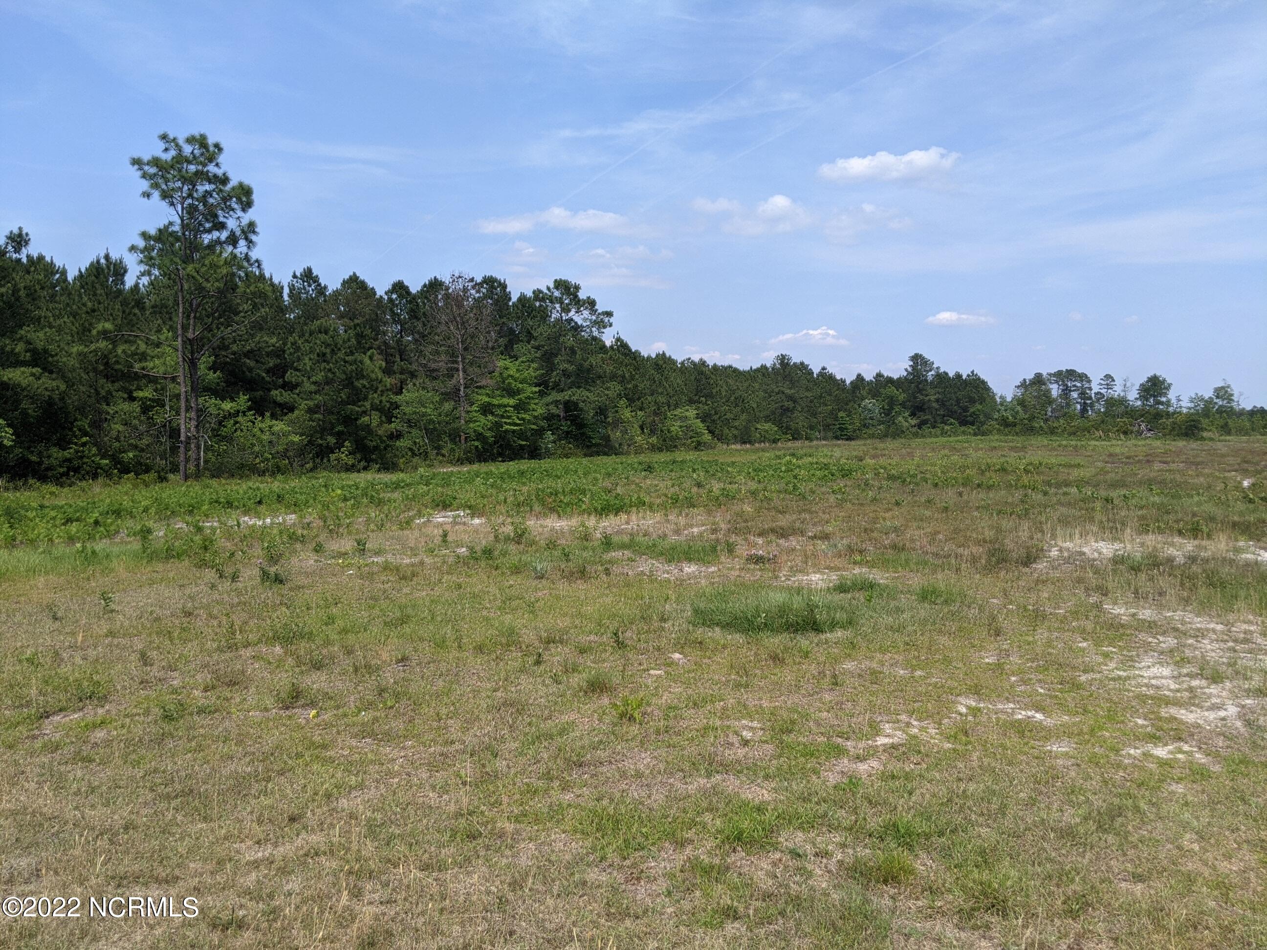 2332 Blueberry Road Currie, NC 28435 - Photo 4 of 30 PXL_20220520_190355335
