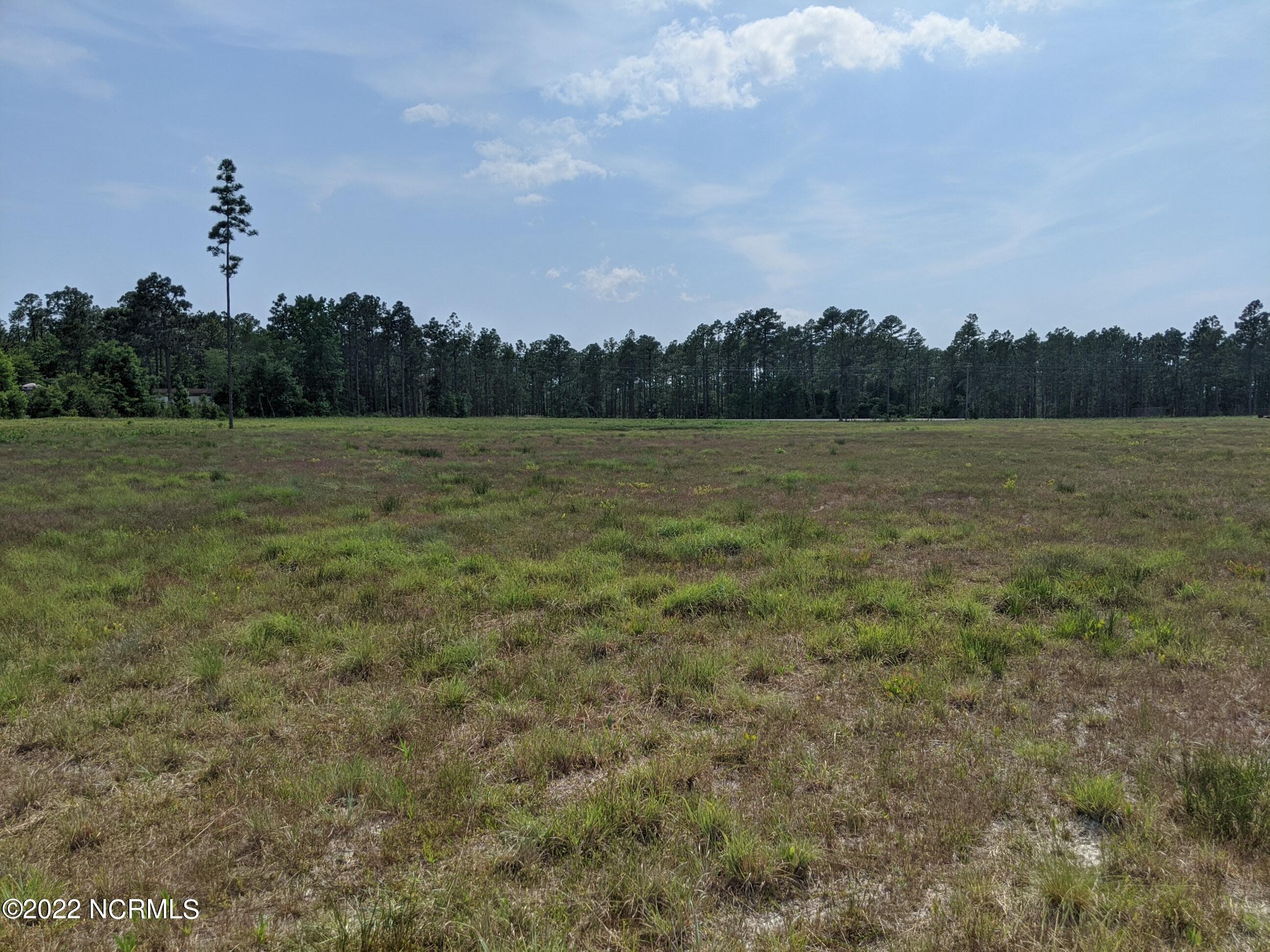 2332 Blueberry Road Currie, NC 28435 - Photo 10 of 30 PXL_20220520_190858734