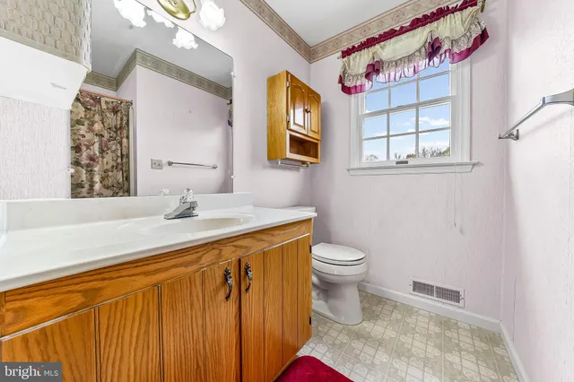 a bathroom with a sink a mirror and a toilet
