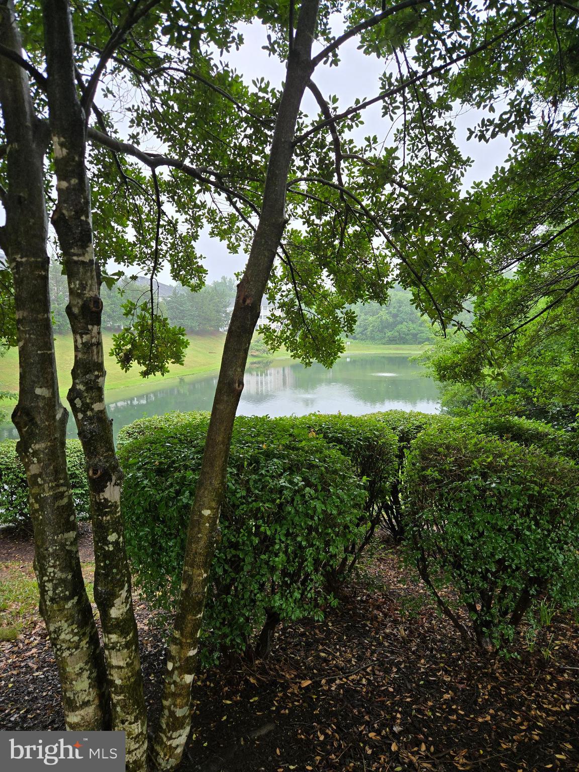 14151 Cuddy Loop, Unit 101 Woodbridge, VA 22193 - Photo 43 of 45 a view of outdoor space and yard