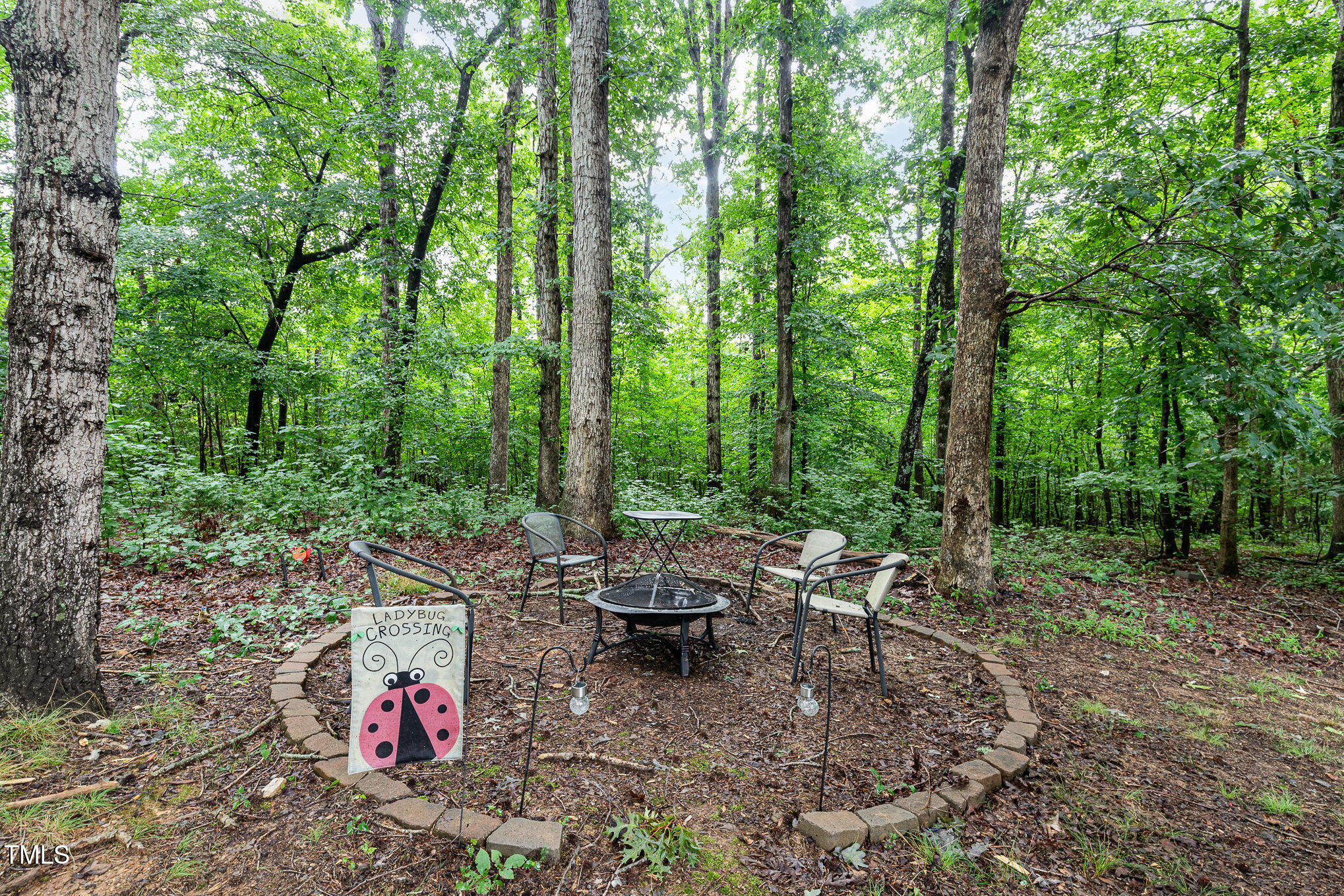 1176 Stoney Mountain Road Rougemont, NC 27572 - Photo 40 of 44 a backyard of a house with lots of green space and fountain