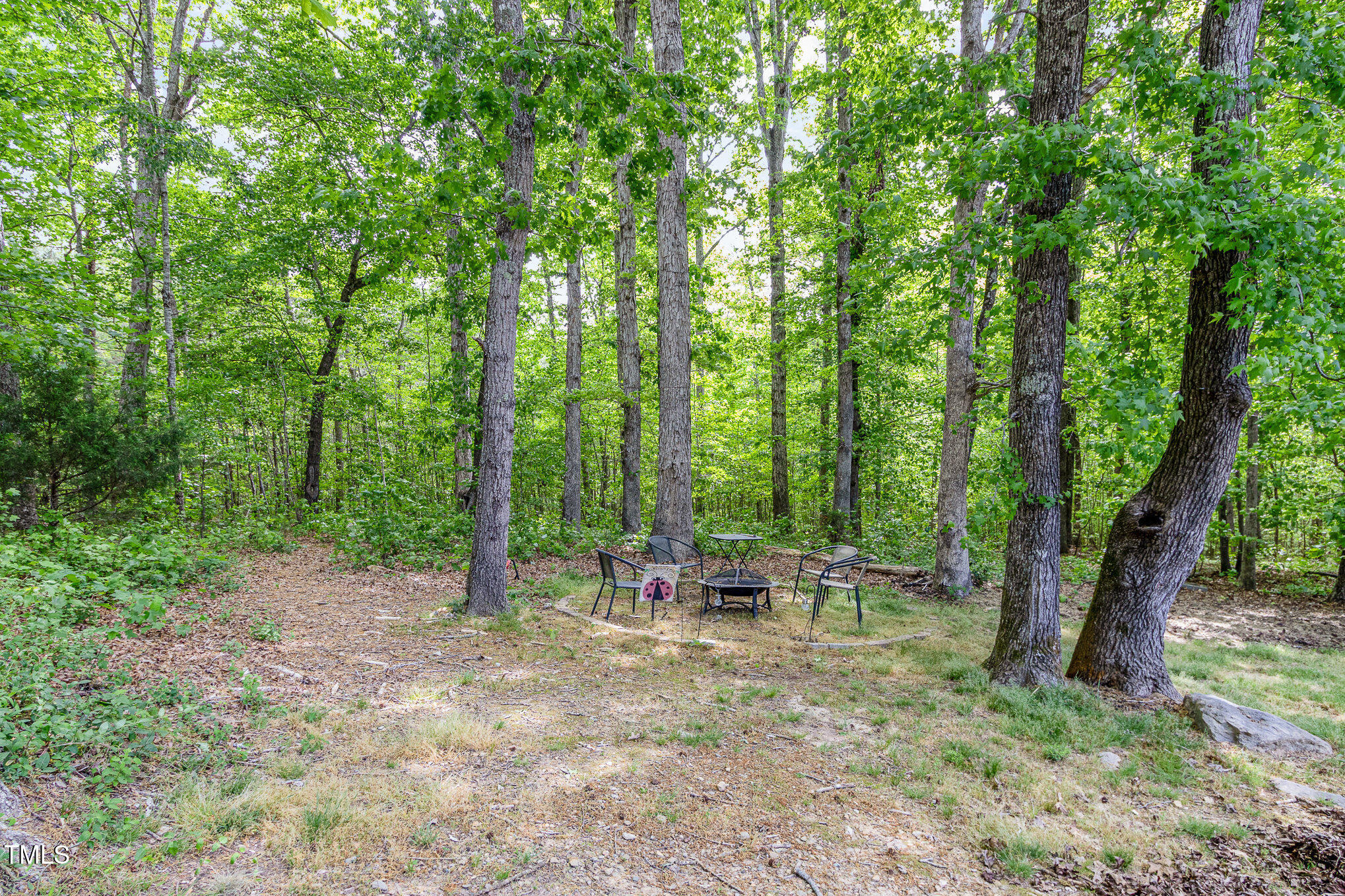 1176 Stoney Mountain Road Rougemont, NC 27572 - Photo 41 of 44 033_img_0864-edit_632