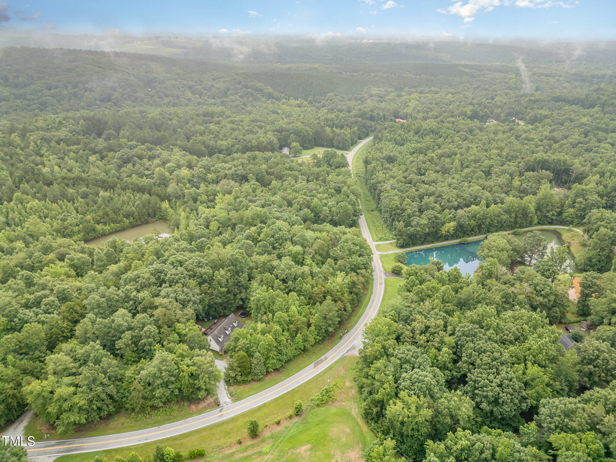 1176 Stoney Mountain Road Rougemont, NC 27572 - Photo 43 of 44 a view of a forest