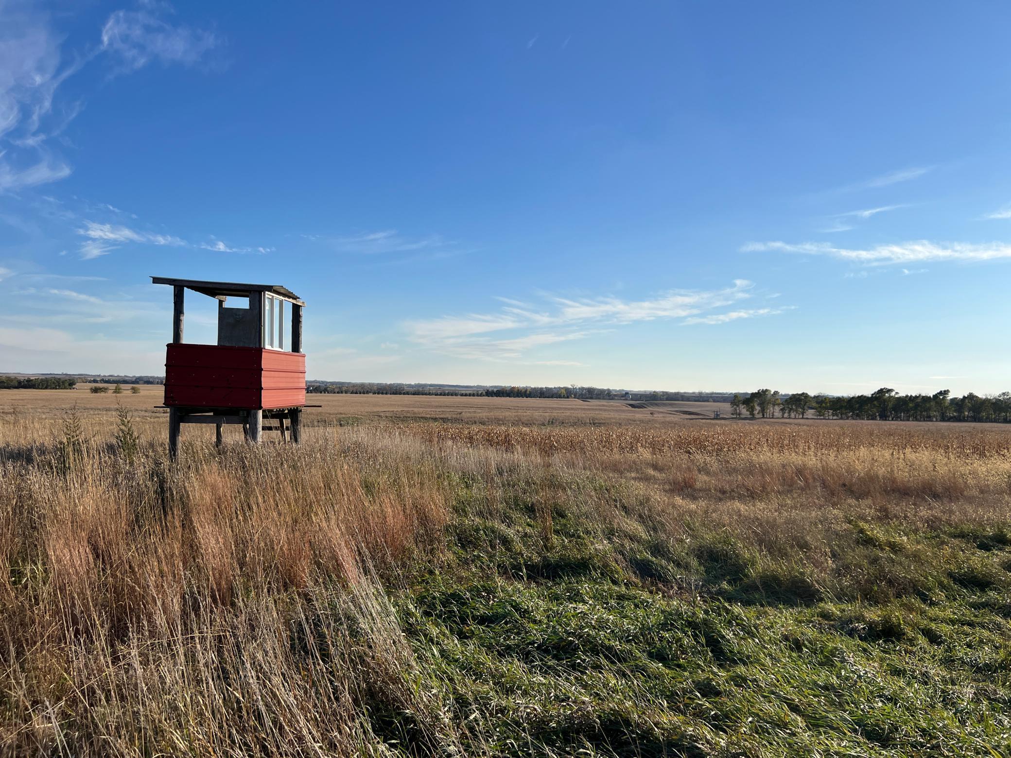 440 90th Avenue Northeast Benson, MN 56215 - Photo 11 of 18