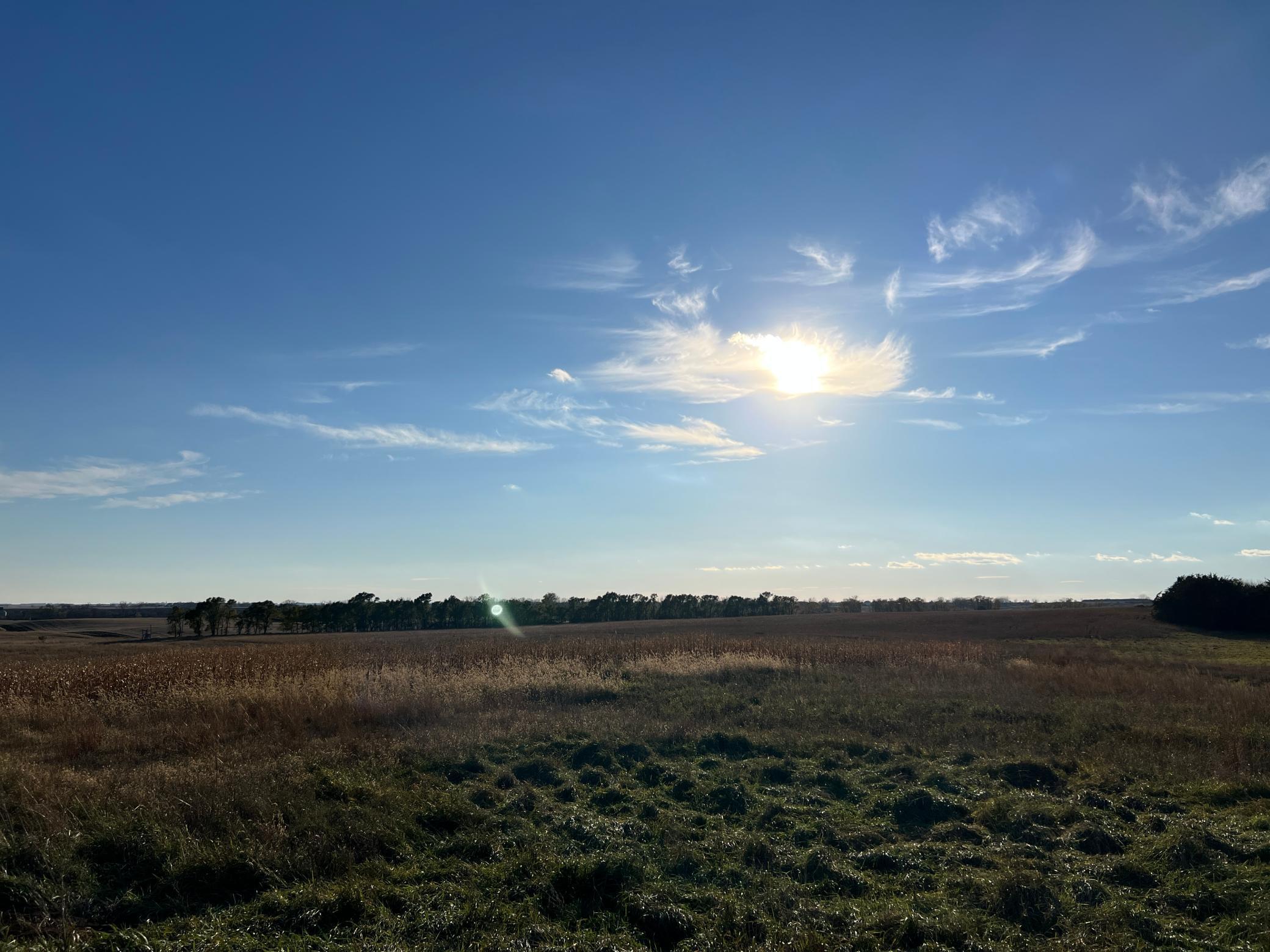 440 90th Avenue Northeast Benson, MN 56215 - Photo 12 of 18