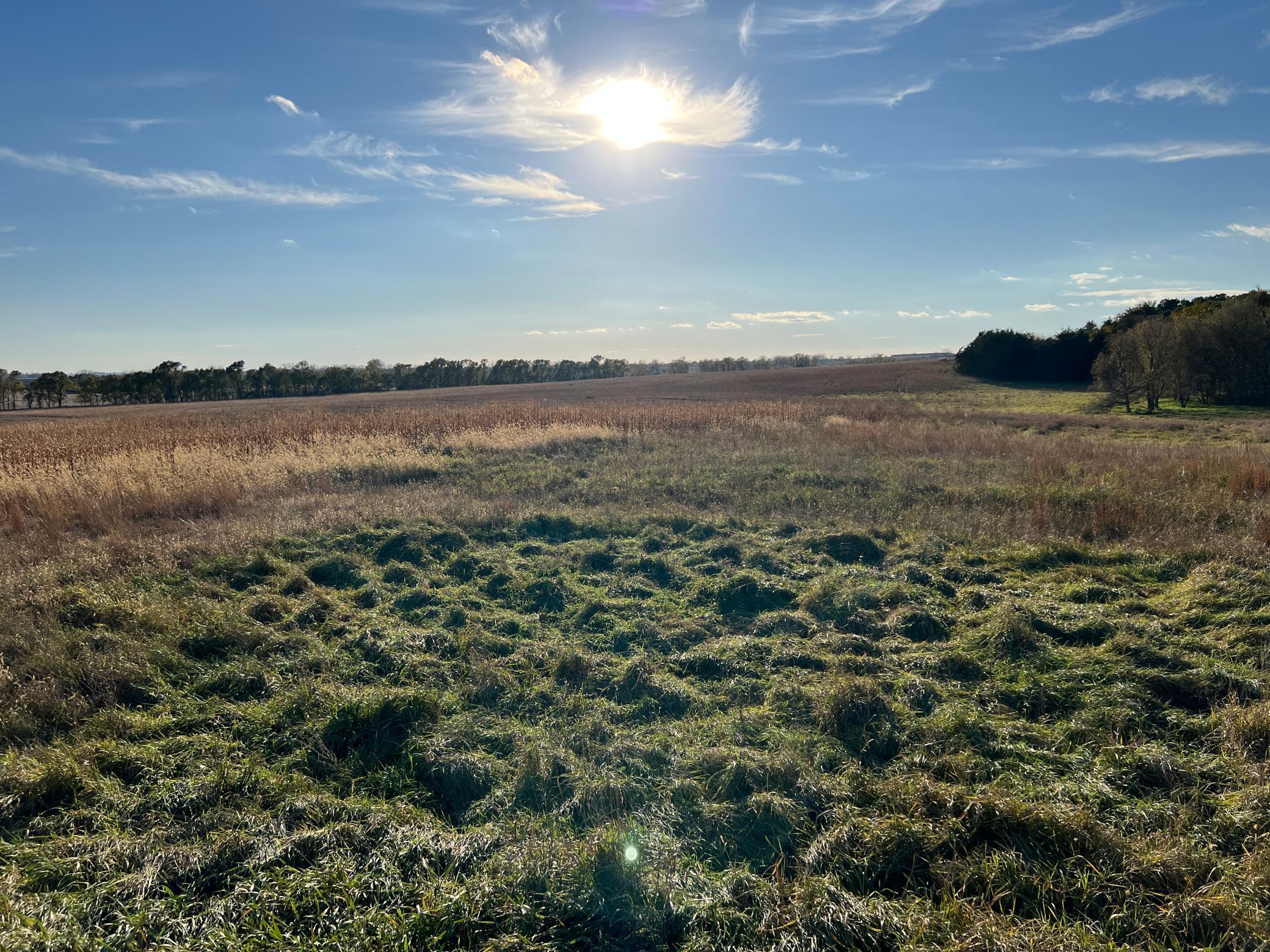 440 90th Avenue Northeast Benson, MN 56215 - Photo 13 of 18