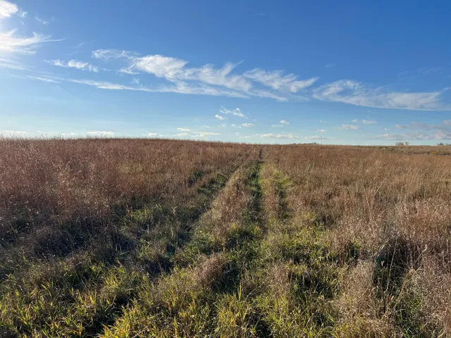 $1 | 440 90th Avenue Northeast, Benson, MN 56215