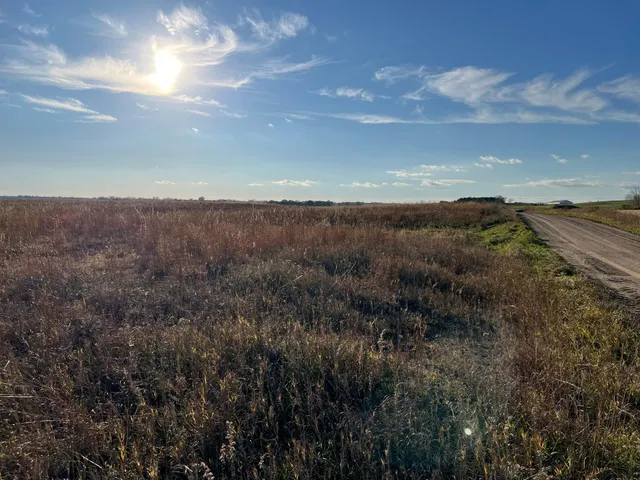 $1 | 440 90th Avenue Northeast, Benson, MN 56215