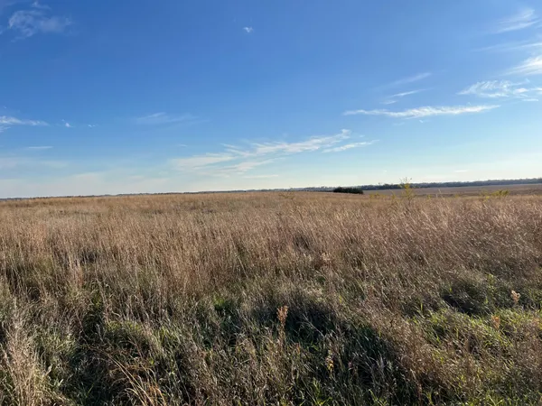 $305,280 | 440 90th Avenue Northeast, Benson, MN 56215