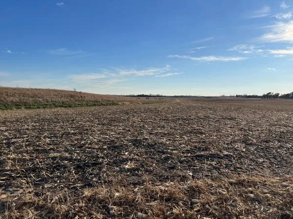 $305,280 | 440 90th Avenue Northeast, Benson, MN 56215