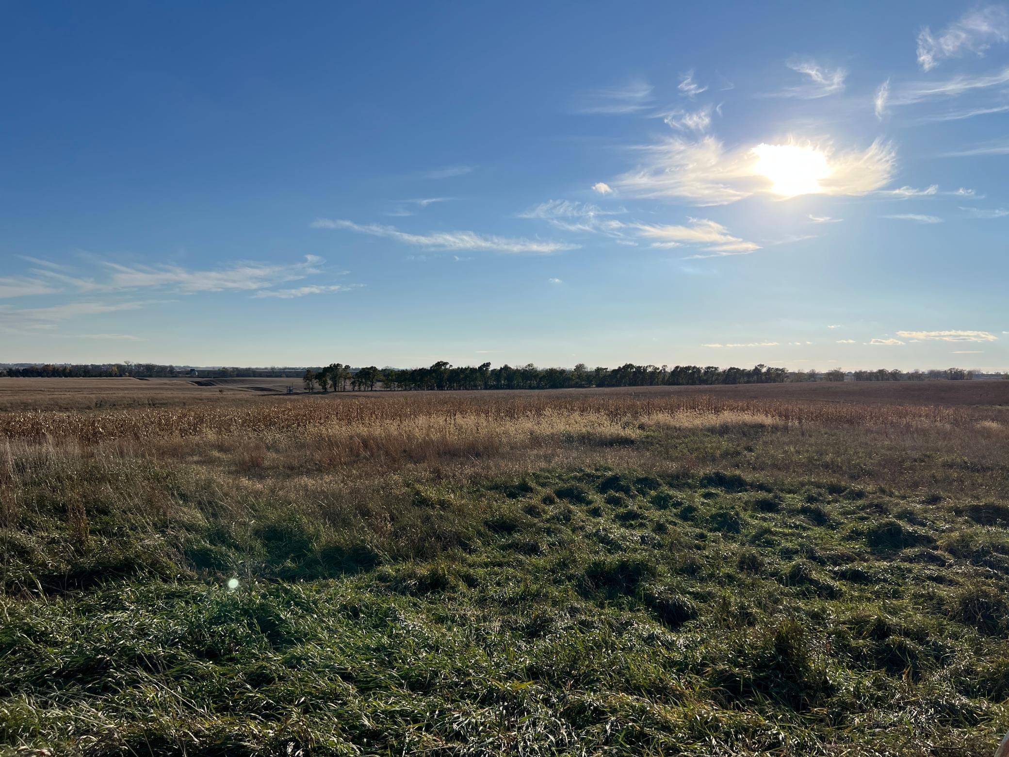 440 90th Avenue Northeast Benson, MN 56215 - Photo 10 of 18