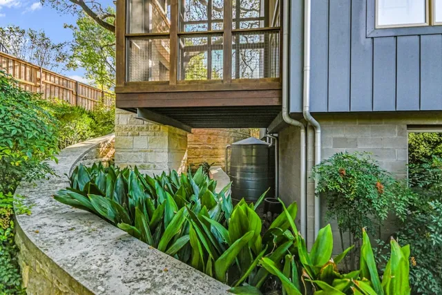 a close up of a plant in a garden