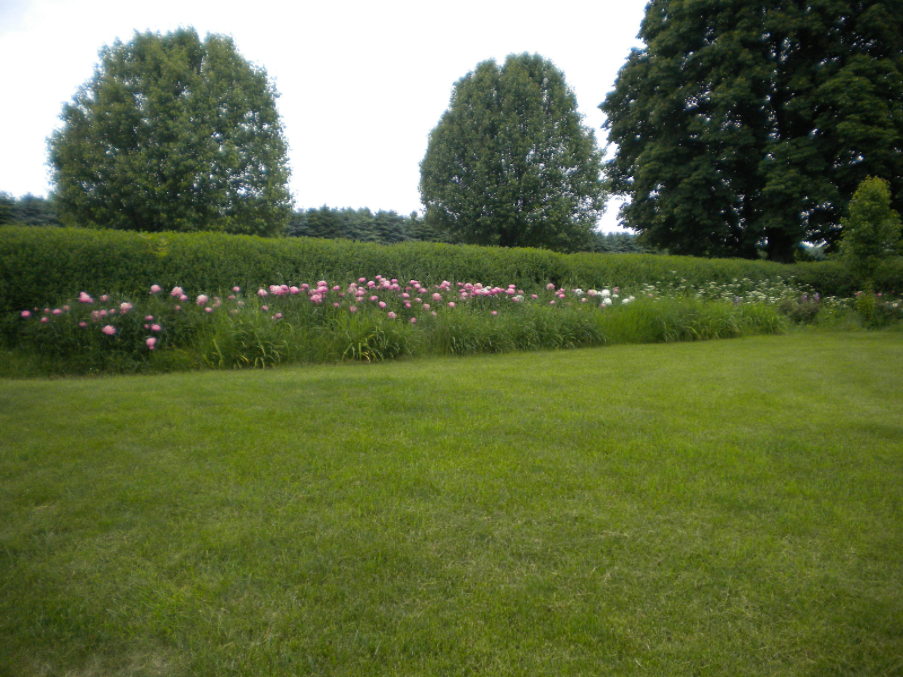 3232 West Conrad Road Ludington, MI 49431 - Photo 50 of 58 DSCN2394