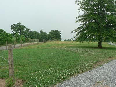 4200 Springfield Road Sharpsburg, KY 40374 - Photo 14 of 19 Driveway Entry, Springfield Road, Front