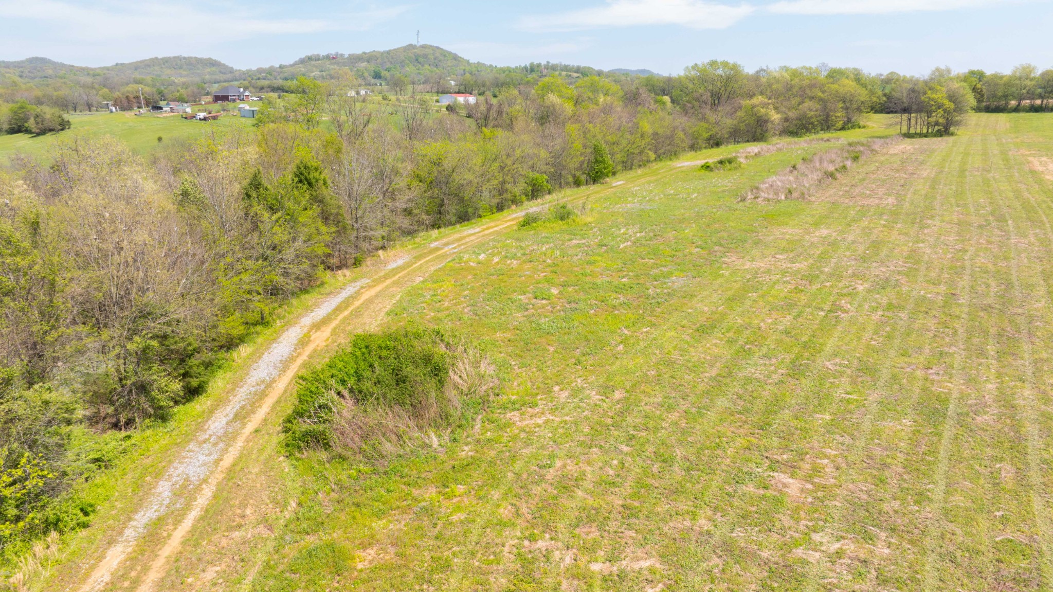 0 Littleton Ranch Road Castalian Springs, TN 37031 - Photo 7 of 15 Gallery Image 7