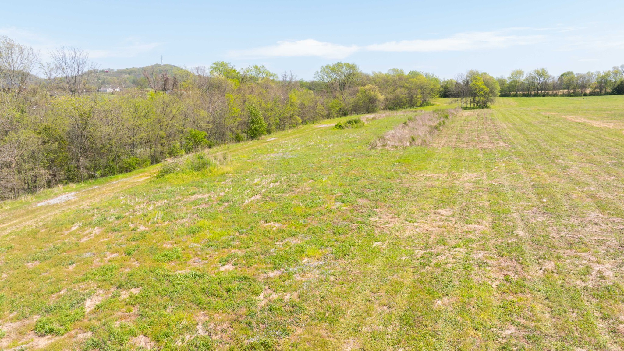 0 Littleton Ranch Road Castalian Springs, TN 37031 - Photo 8 of 15 Gallery Image 8