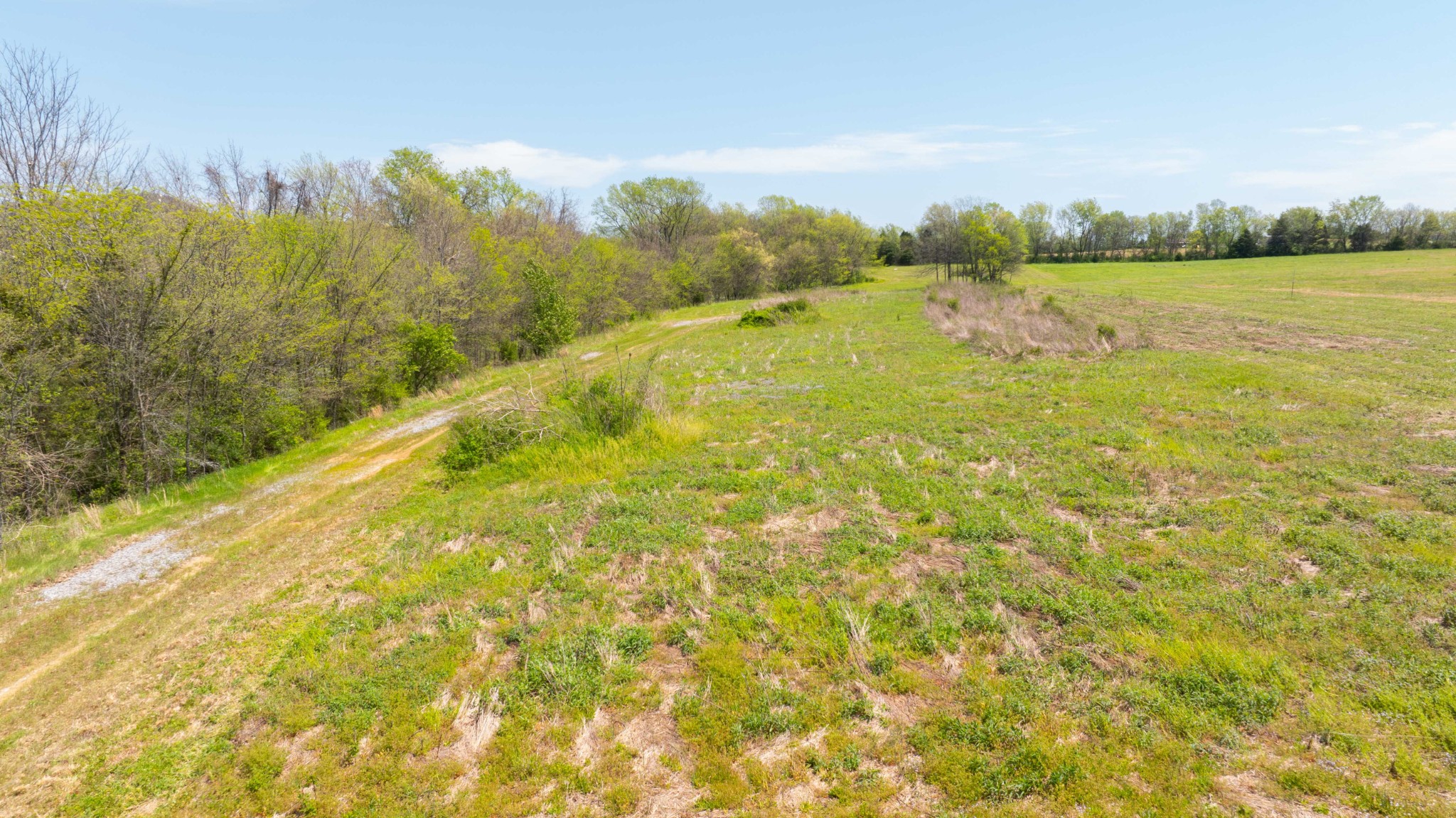 0 Littleton Ranch Road Castalian Springs, TN 37031 - Photo 9 of 15 Gallery Image 9