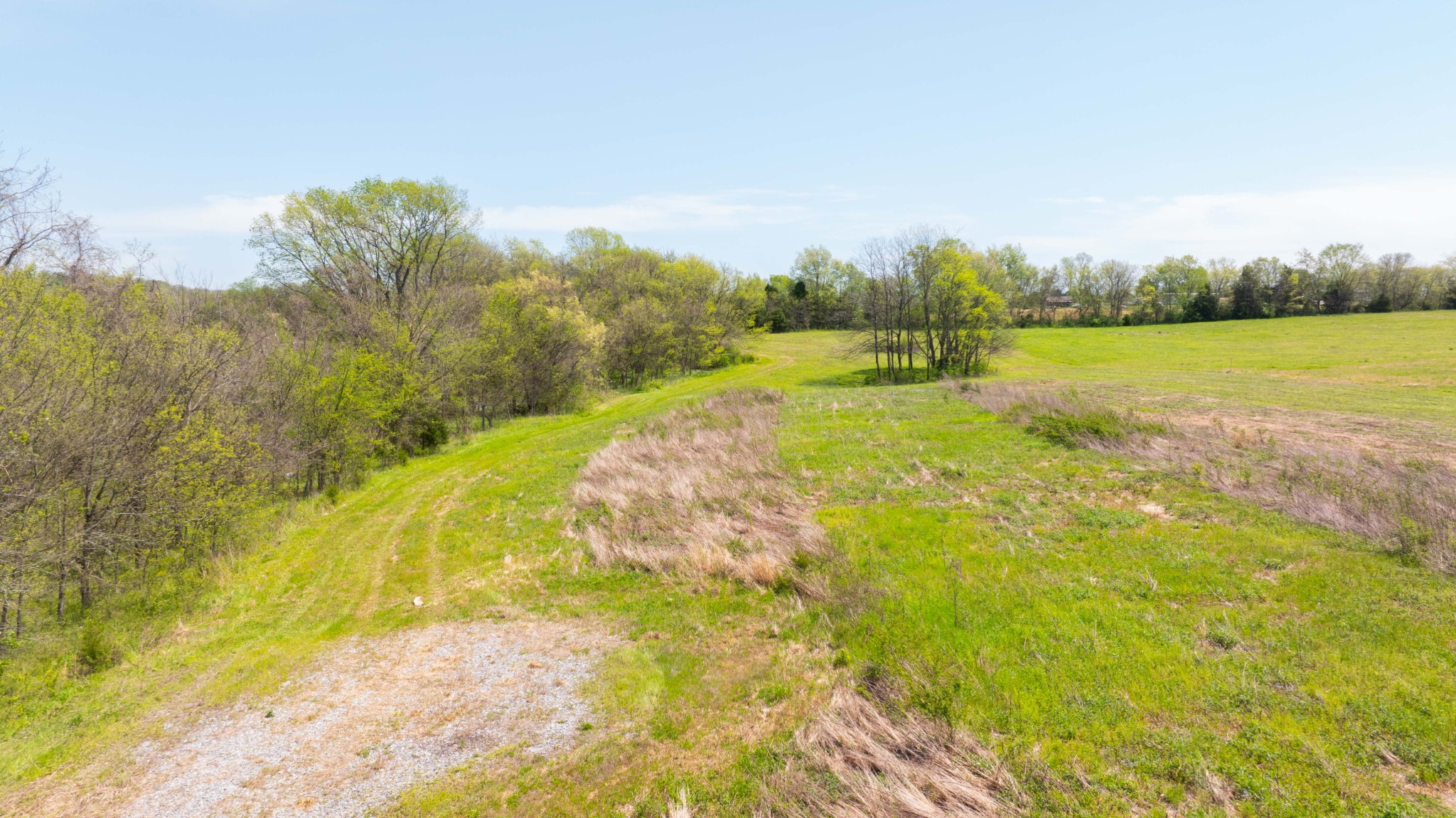 0 Littleton Ranch Road Castalian Springs, TN 37031 - Photo 10 of 15 Gallery Image 10