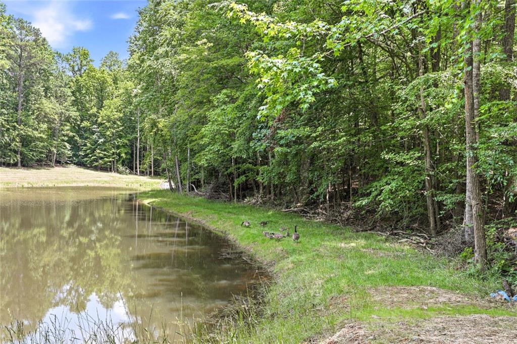 3735 Smithtown Road Suwanee, GA 30024 - Photo 29 of 29