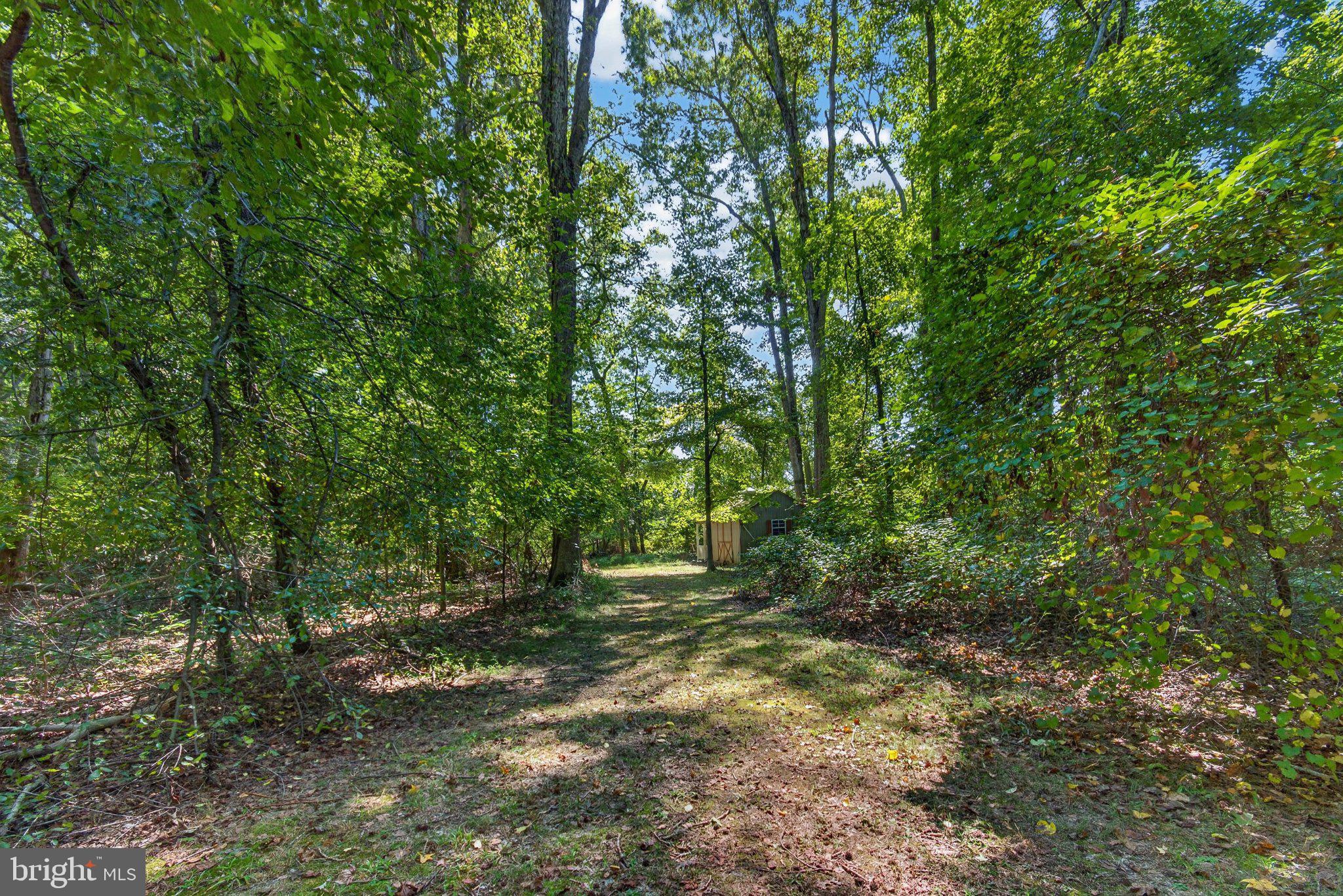 12836 Jarvis Road Bishopville, MD 21813 - Photo 47 of 48 Gallery Image 47