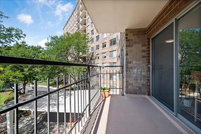 a view of a swimming pool with lawn chairs and plants