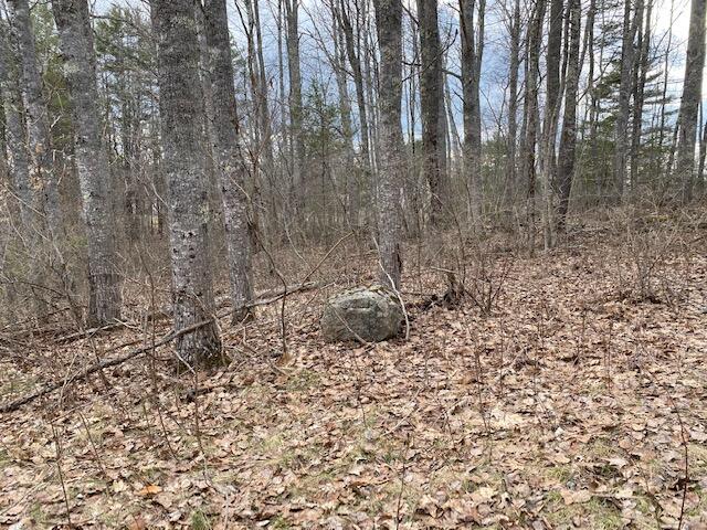 0 Ridge Road Newcastle, ME 04553 - Photo 2 of 3 RidgeRd3