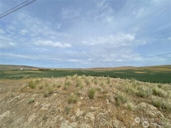 0 Little Goose Dam Road Dayton, WA 99328 - Photo 3 of 3 Gallery Image 3
