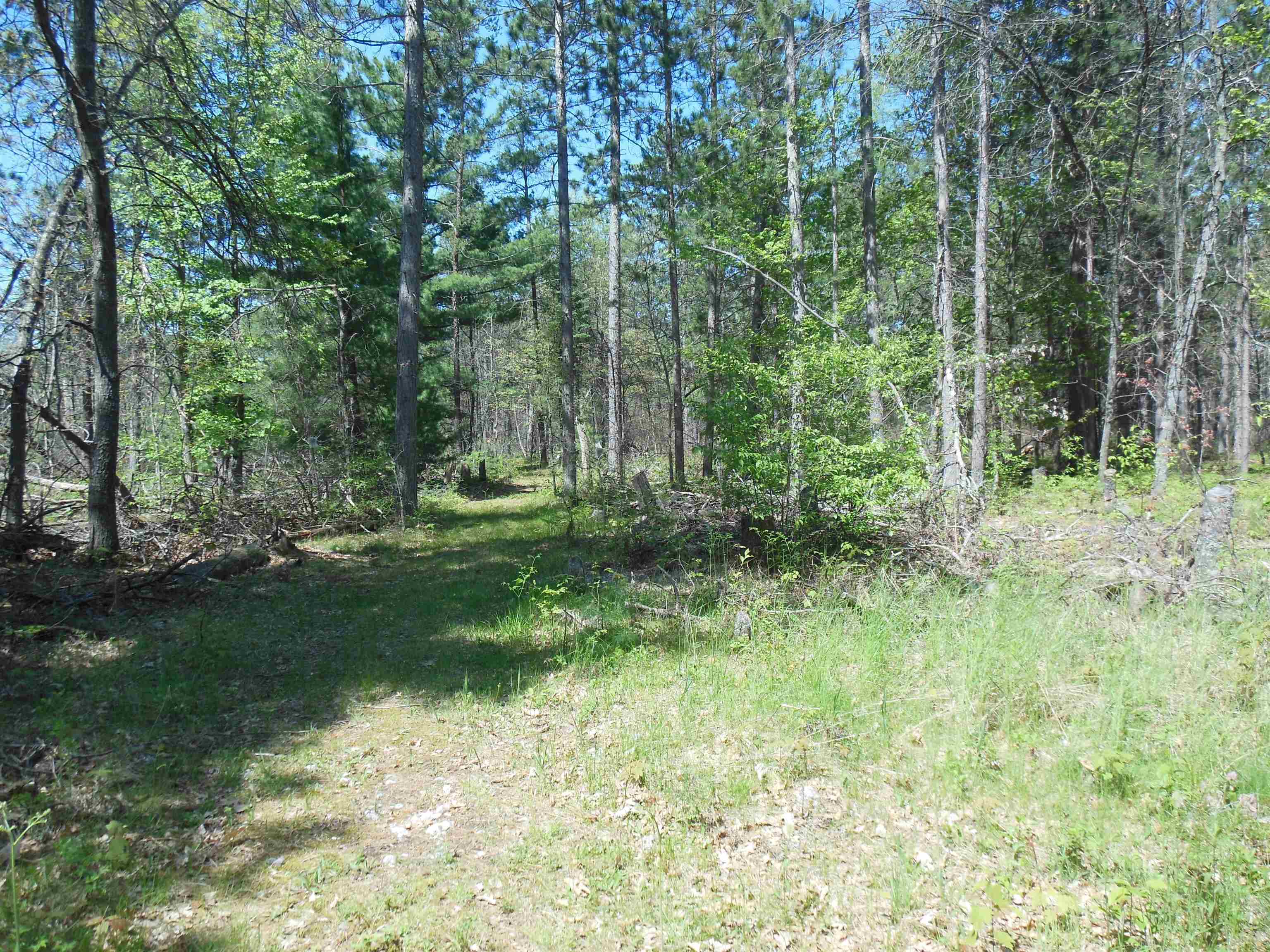5871 Edith Schneider Road Harrison, MI 48625 - Photo 17 of 49