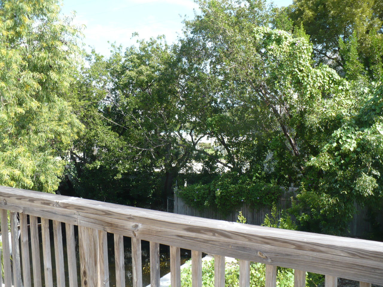 843 Largo Road Key Largo, FL 33037 - Photo 9 of 28 Porch view 3