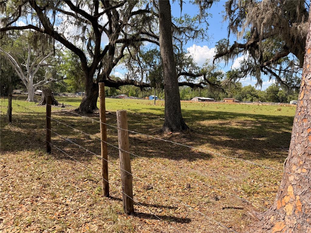 20512 Ramer Road Dade City, FL 33523 - Photo 2 of 15