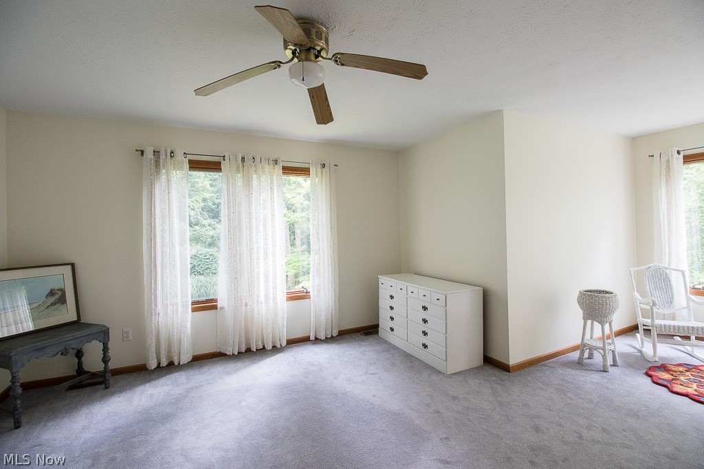 14031 Ford Road Madison, OH 44057 - Photo 21 of 35