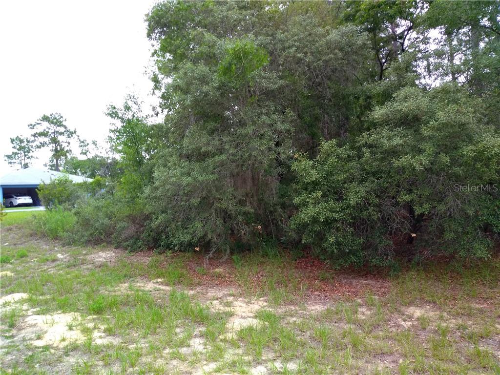 154 Southwest 154th Place Road Ocala, FL 34473 - Photo 1 of 1