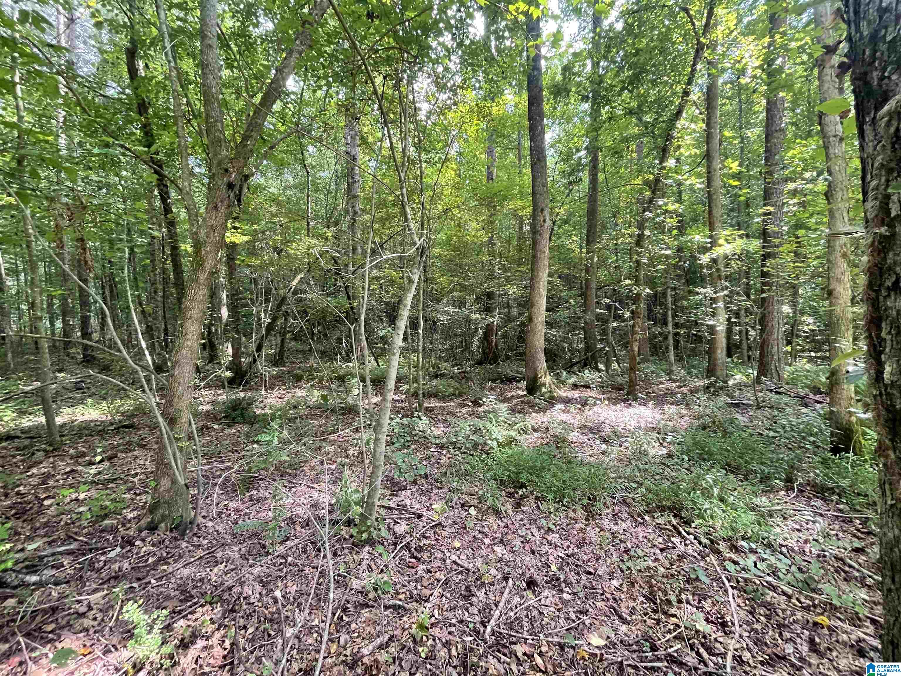 0 County Road 689, Unit 1 Ranburne, AL 36273 - Photo 38 of 69