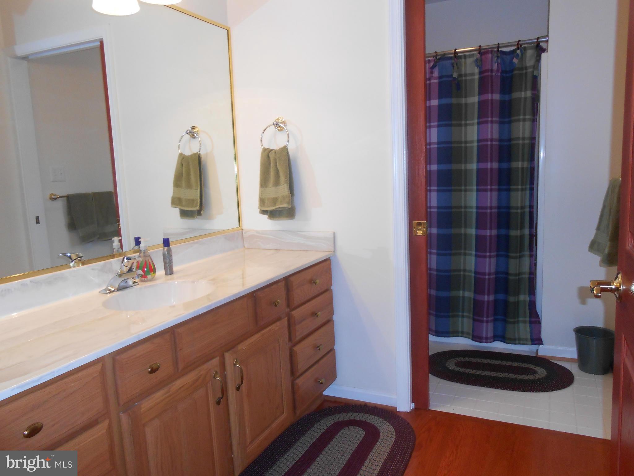 158 Deerhaven Road Front Royal, VA 22630 - Photo 18 of 30 Bath (Master)