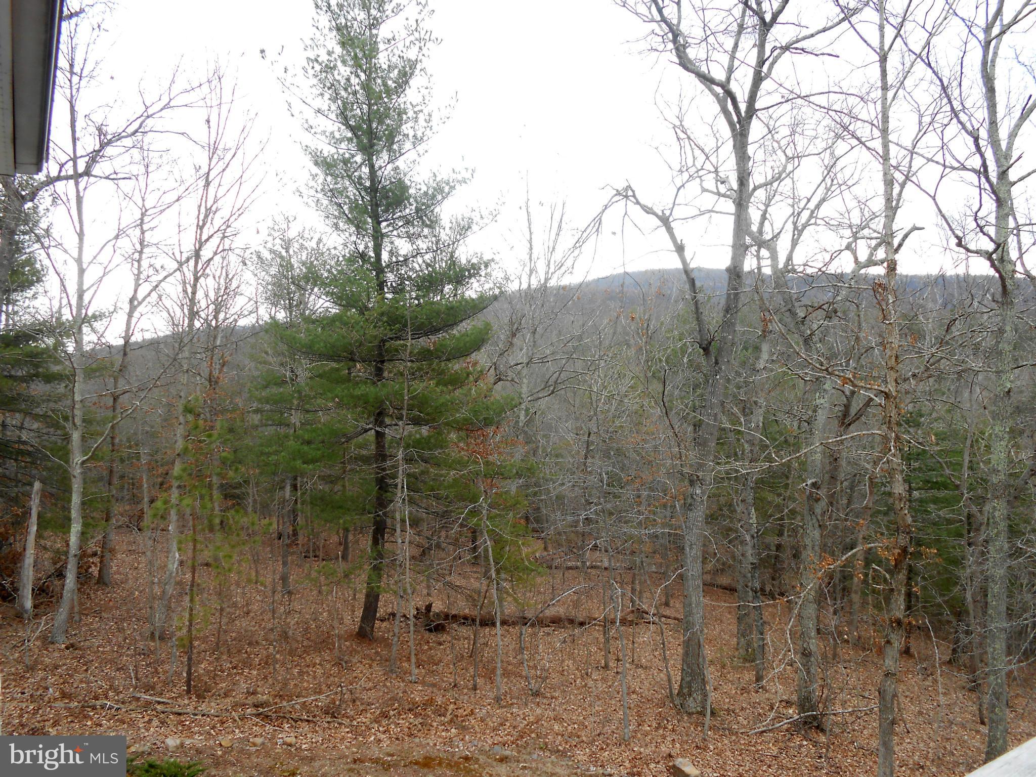 158 Deerhaven Road Front Royal, VA 22630 - Photo 30 of 30 Mountain Views