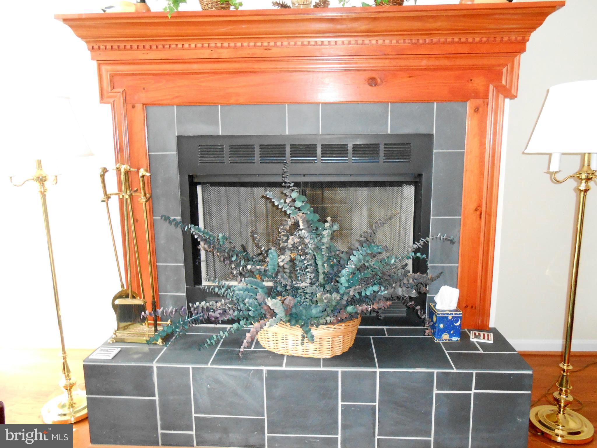 158 Deerhaven Road Front Royal, VA 22630 - Photo 4 of 30 Wood Fireplace