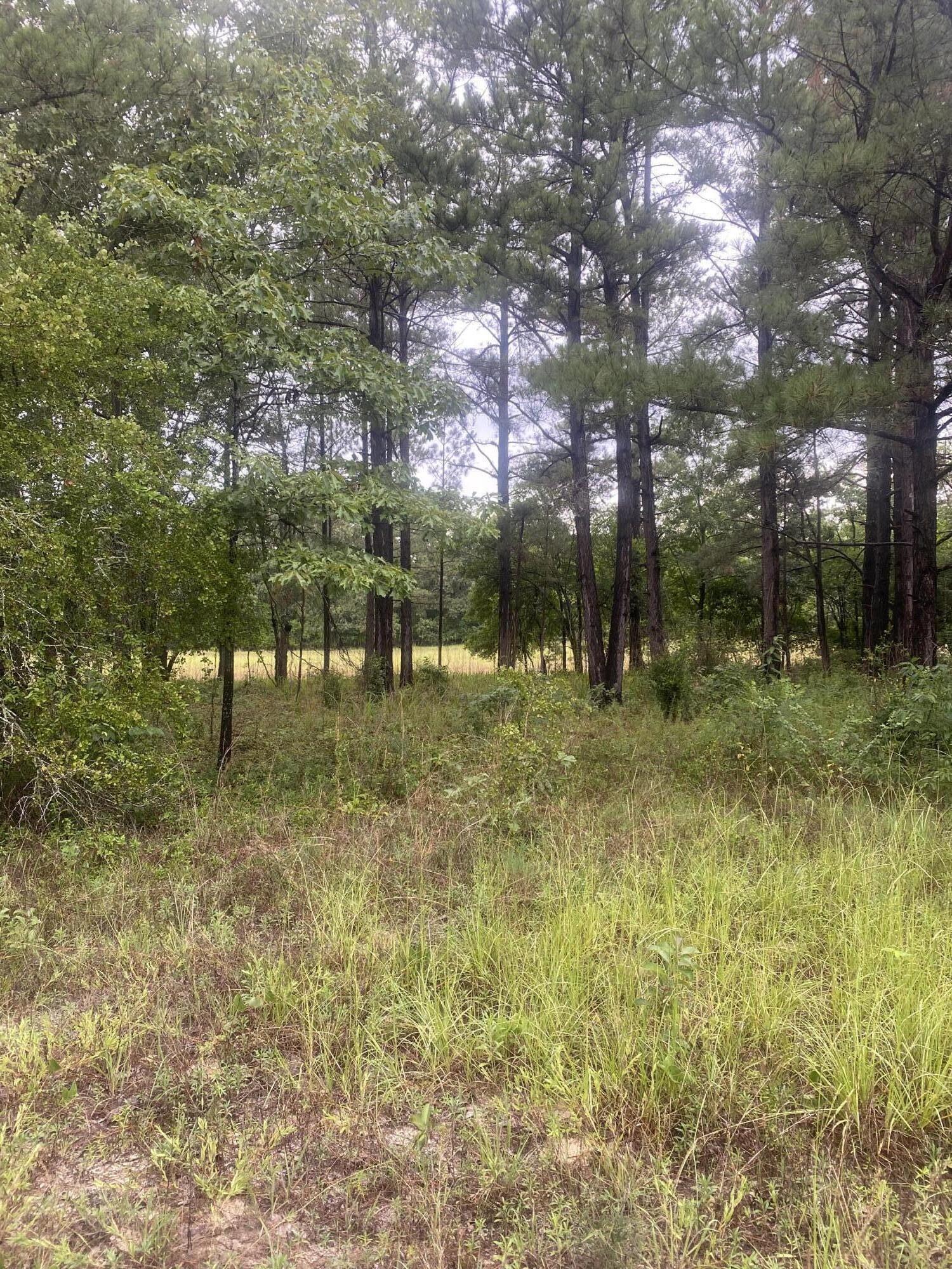 291 McVey Road Aiken, SC 29803 - Photo 45 of 49