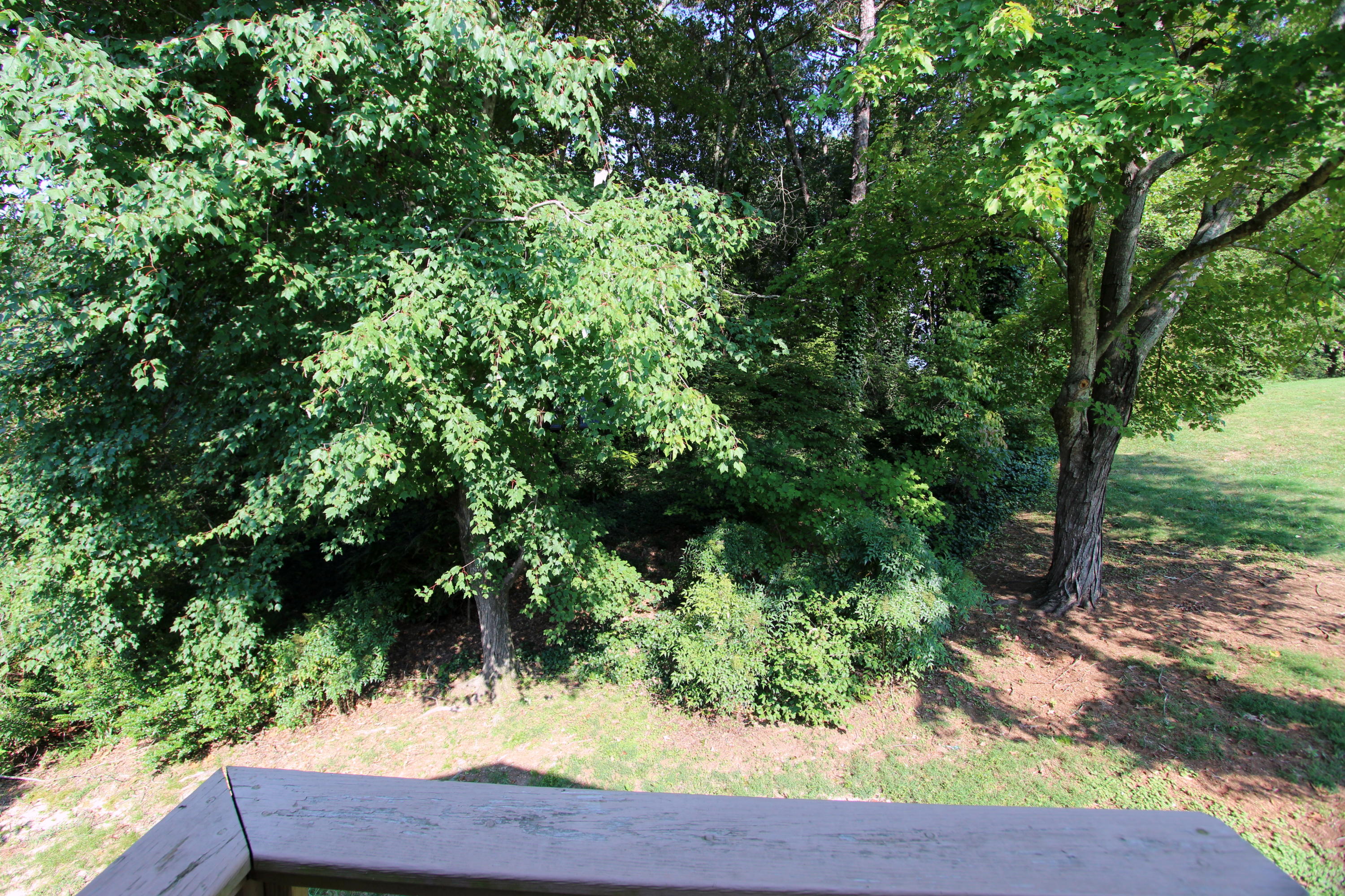 7107 Moreview Road Chattanooga, TN 37412 - Photo 22 of 38 Back Yard Neighbors