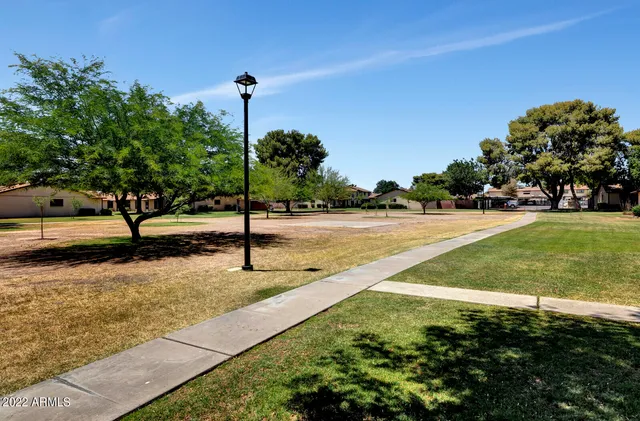 a view of a park with large trees