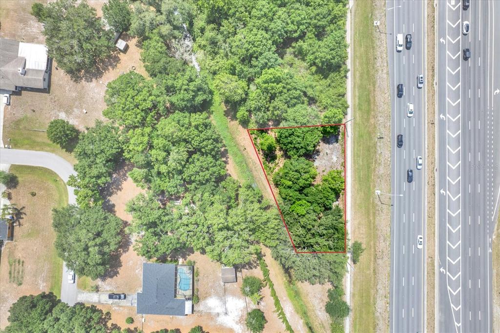 54 State Road Lutz, FL 33558 - Photo 5 of 10 a view of a garden