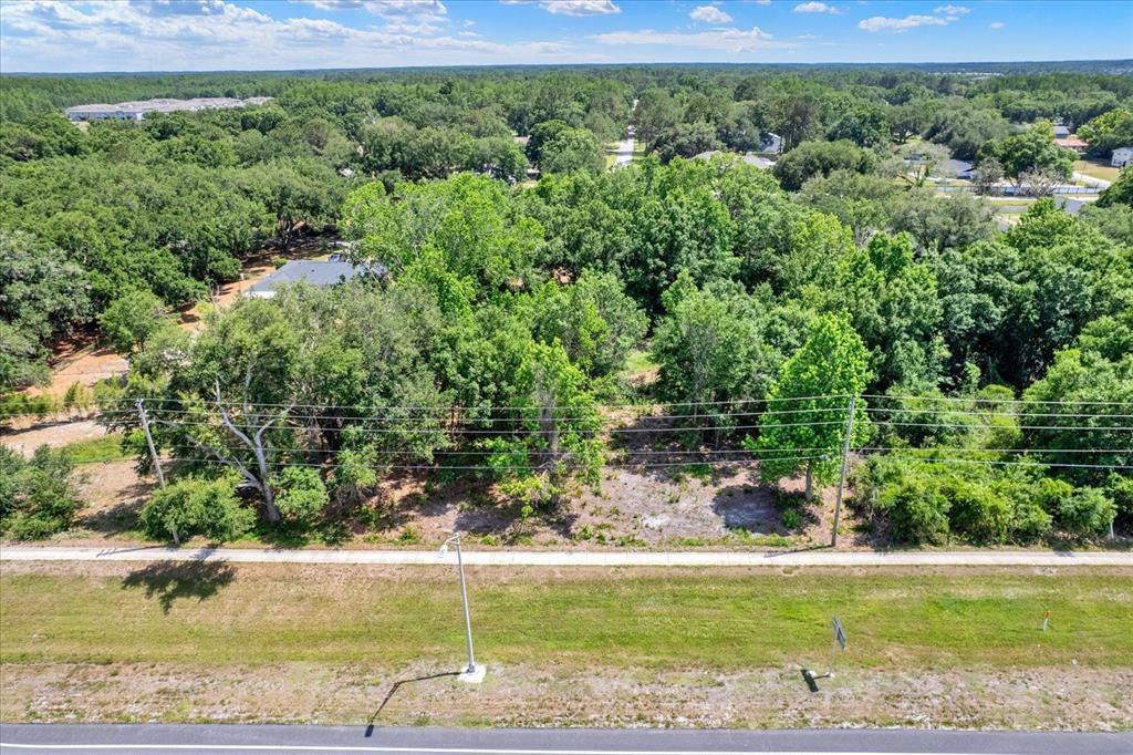 54 State Road Lutz, FL 33558 - Photo 8 of 10 a view of a water with lawn chairs and large trees