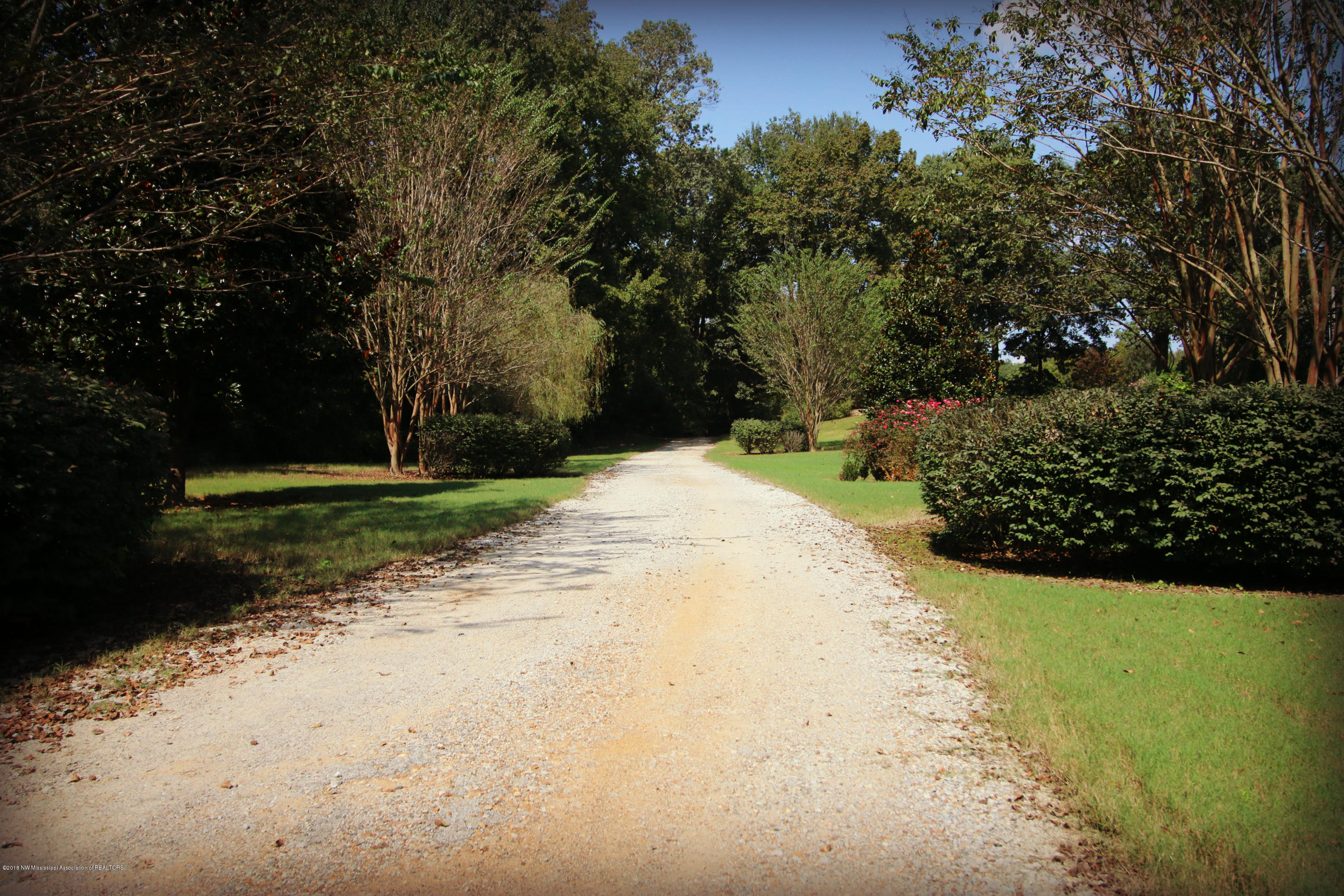 4700 Nesbit Road Nesbit, MS 38651 - Photo 4 of 45 IMG_6893