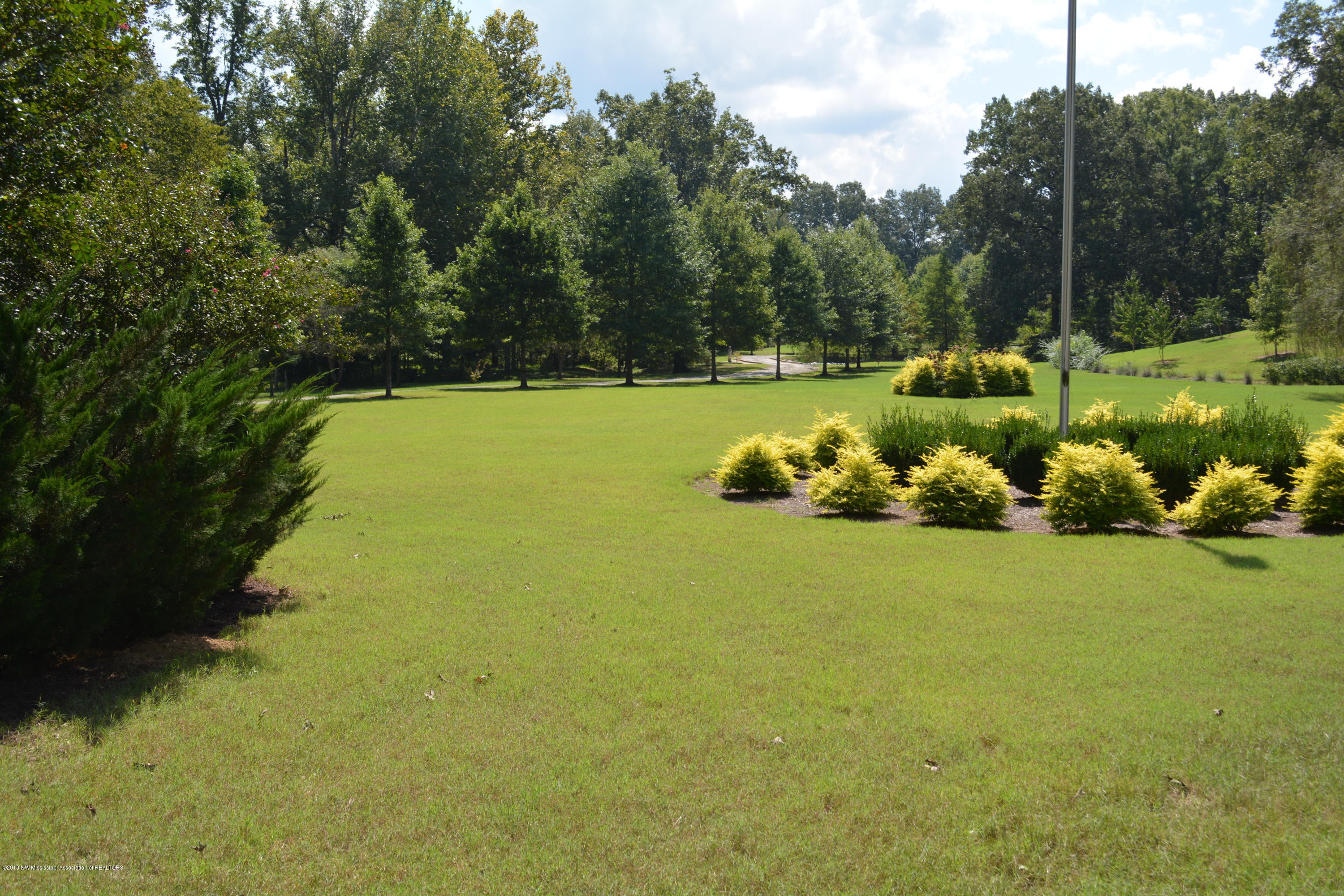 4700 Nesbit Road Nesbit, MS 38651 - Photo 6 of 45 DSC_0988