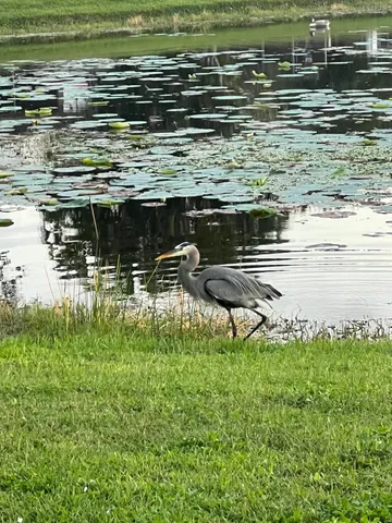 a view of a lake with a big yard