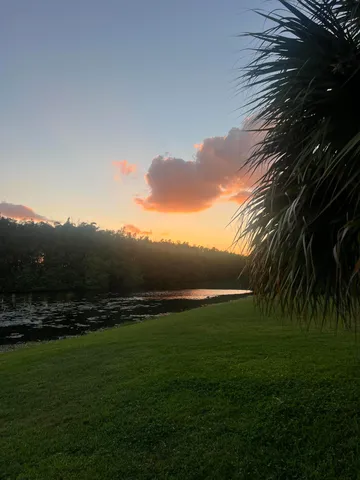 a view of a lake from a yard